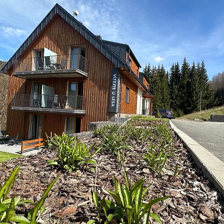 Apartmany U Lesa Долни-Морава Экстерьер фото