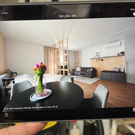 Apartmany U Lesa Долни-Морава Номер фото